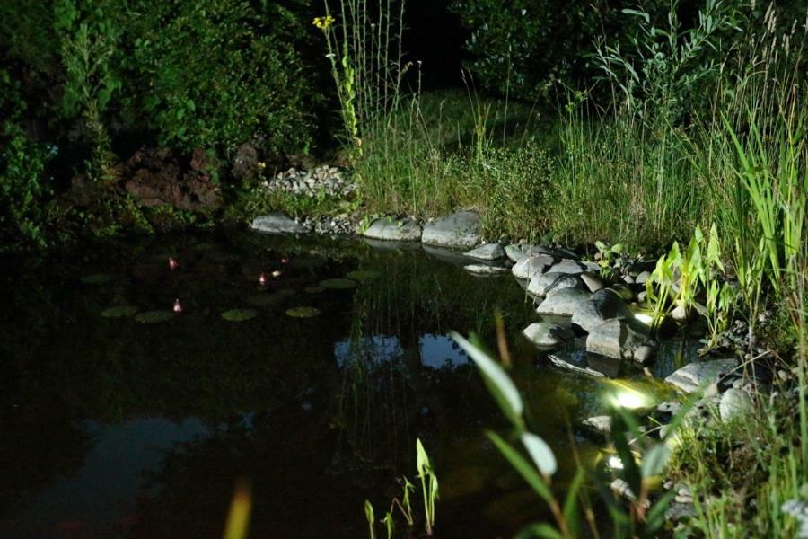 Ferienwohnung Welcome Mit Seeblick Schalkenmehren Kültér fotó