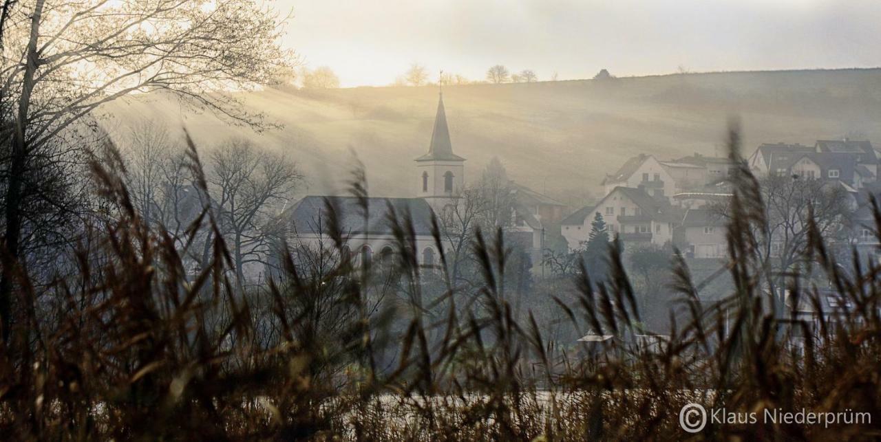 Ferienwohnung Welcome Mit Seeblick Schalkenmehren Kültér fotó