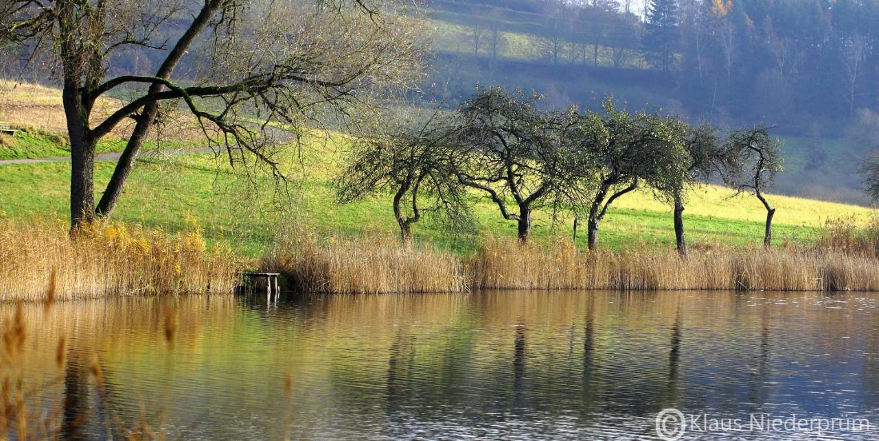 Ferienwohnung Welcome Mit Seeblick Schalkenmehren Kültér fotó